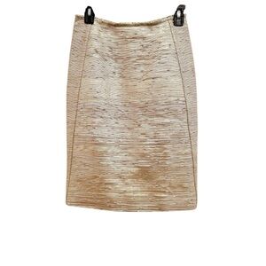 Donna Karan Black Collection Metallic Gold Skirt Size 2 Goat Skin Leather NWT